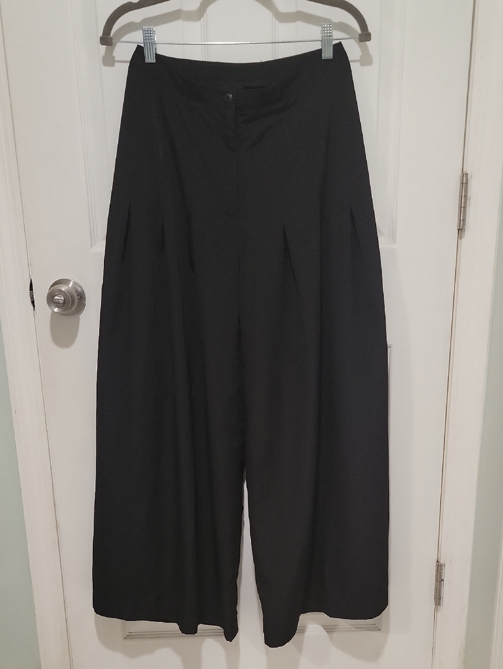 ANArKh Wide Leg Pleated Pants sz6  BinF